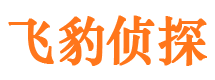 乐平调查公司